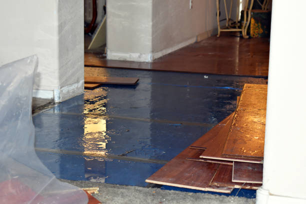 Professional Burst Pipe Water Damage technician working in Sandyville, OH